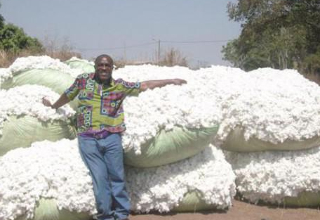 coton bénin